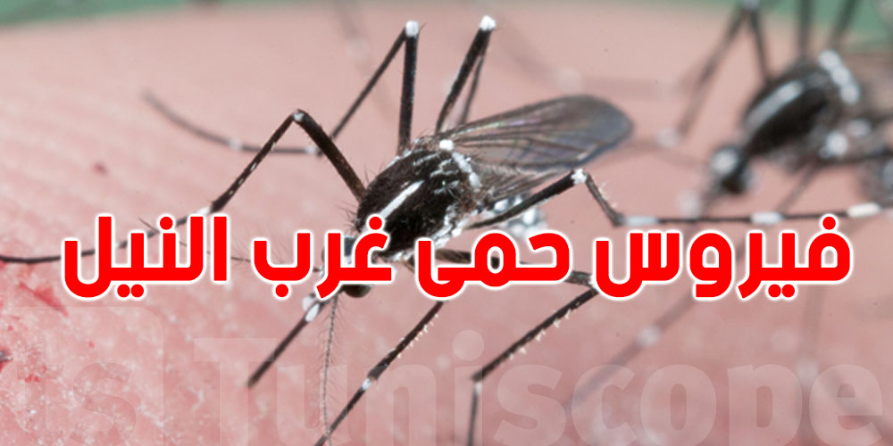 دعوة للوقاية من فيروس ''حمى غرب النيل'' بعد تسجيل إصابات في زغوان